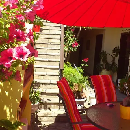 In Bb - Welcome To Petunia In Greece, Para18dise No01 * Néos Marmarás