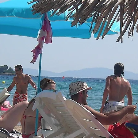 In Bb - Welcome To Petunia In Greece, Para18dise No01 *