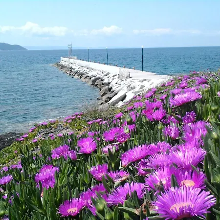 Gasthof In Bb - Welcome To Petunia In Greece, Para18dise No01 *